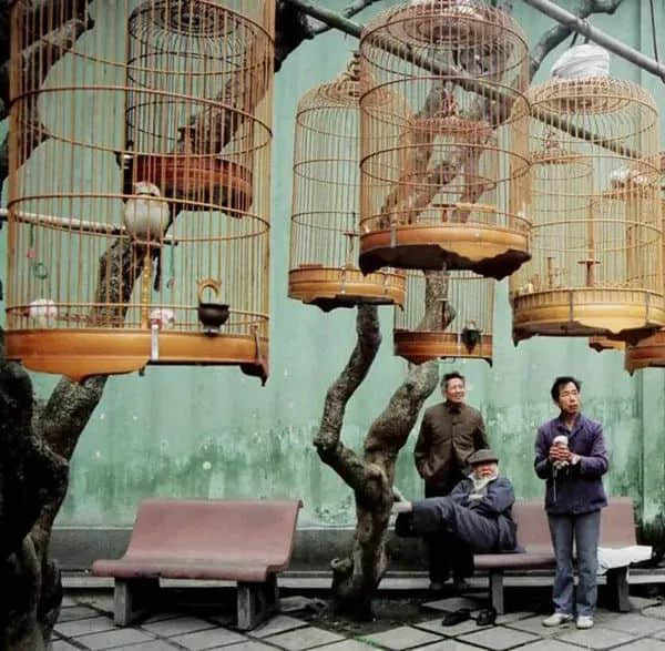 广州记忆(1978-1979) 广州记忆(1978-1979)