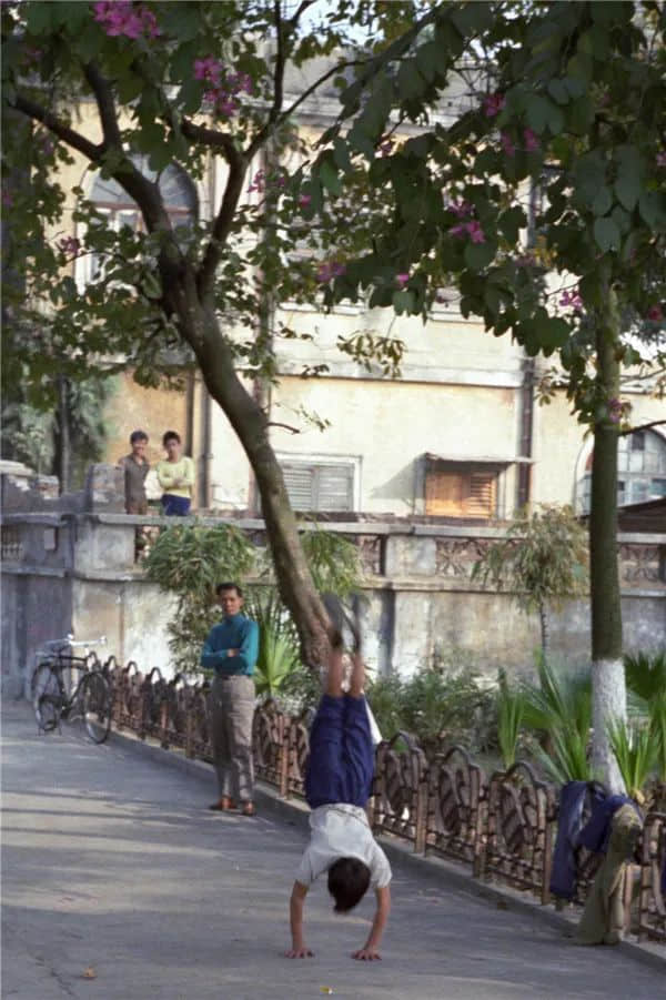 广州记忆(1978-1979) 广州记忆(1978-1979)