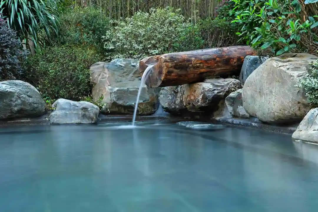 总说年味越来越淡,那么年味究竟是种什么味? 总说年味越来越淡,那么年味究竟是种什么味?