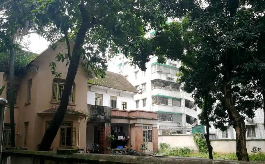 梅花村里的陆公馆 梅花村里的陆公馆