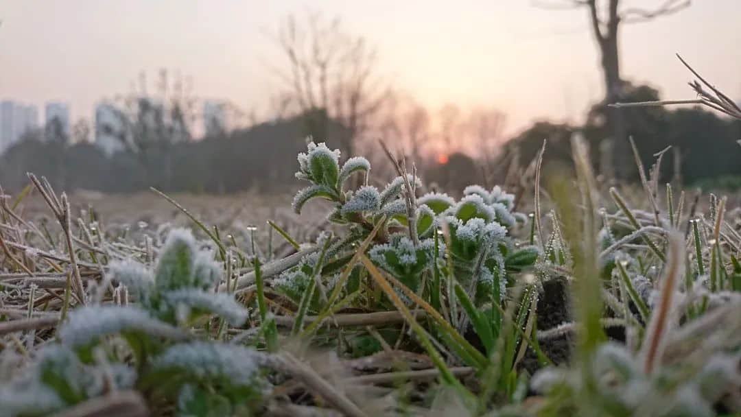 2021年是“盲年”，广东人不宜结婚？为何会有这种现象？
