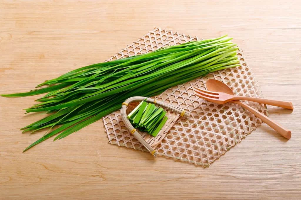 为什么一过完春节,打工人就犯困? 为什么一过完春节,打工人就犯困?