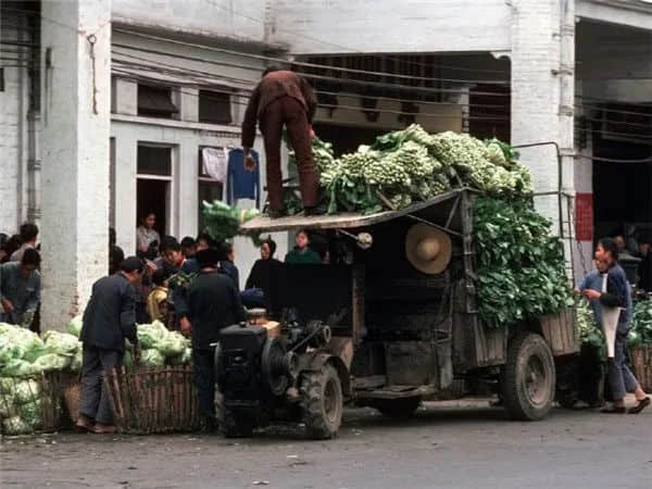 广州记忆(1978-1979) 广州记忆(1978-1979)