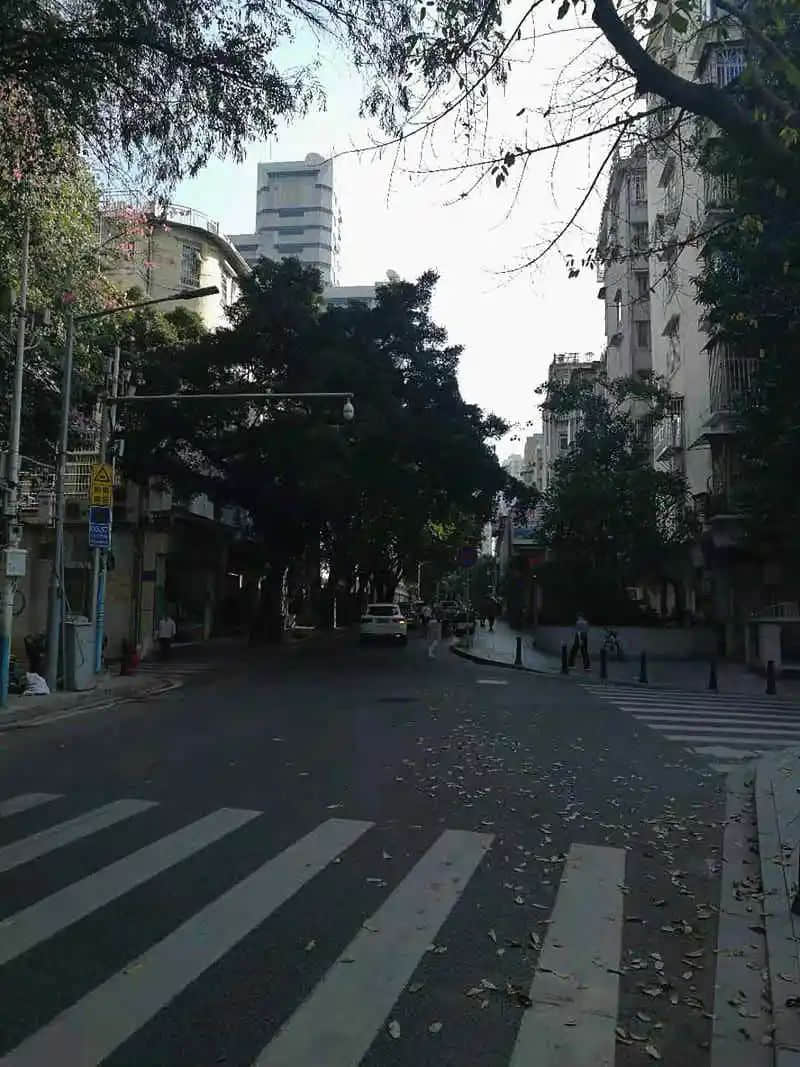 先有福今路,后有中山一? 先有福今路,后有中山一?