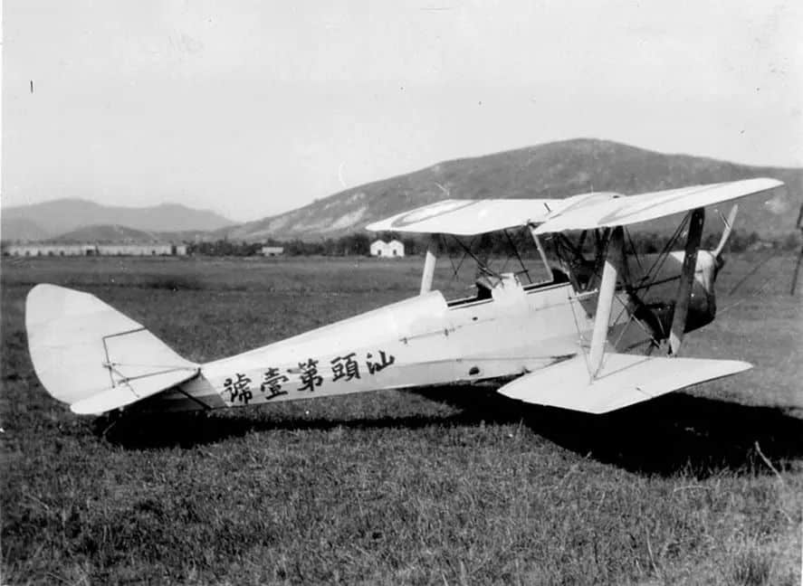 梅花村里飞出的三只鹰 梅花村里飞出的三只鹰