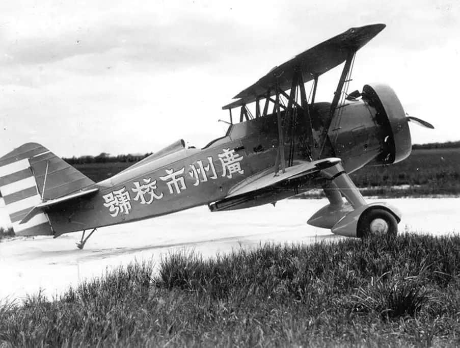 梅花村里飞出的三只鹰 梅花村里飞出的三只鹰