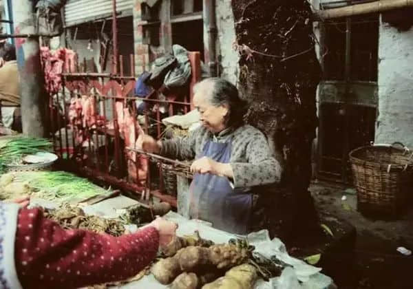 广州记忆(1978-1979) 广州记忆(1978-1979)