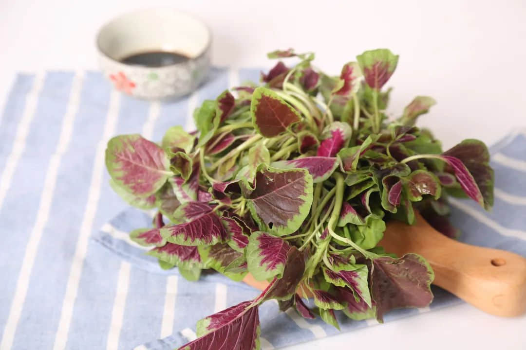 春分，为何朋友圈都在晒立鸡蛋？