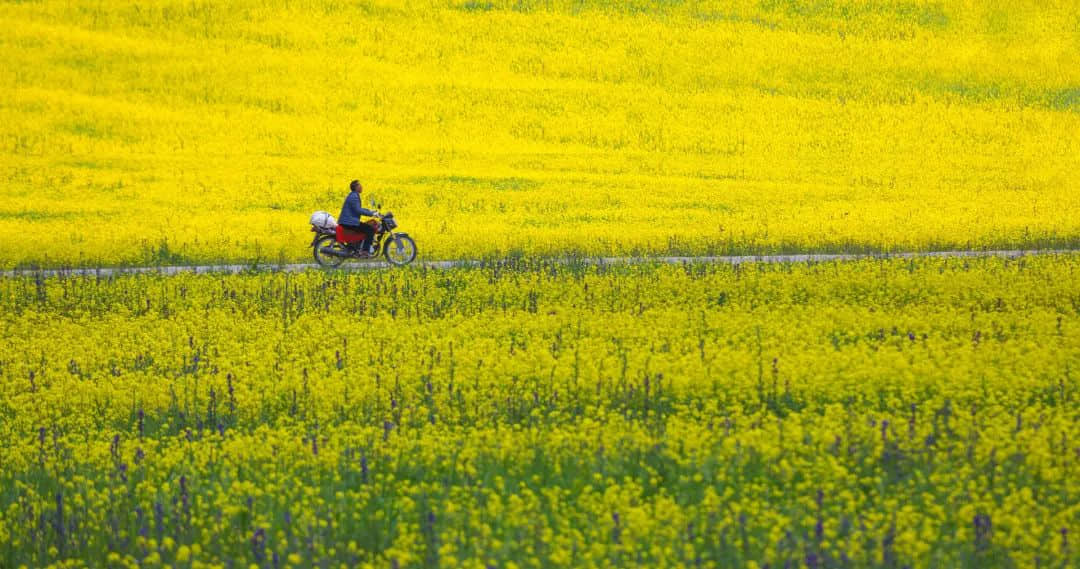 春分，为何朋友圈都在晒立鸡蛋？