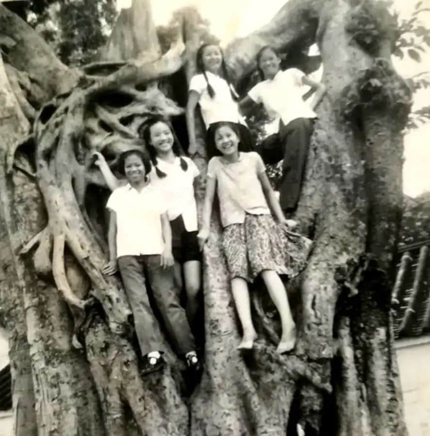 亲手完结了自己的母校!可怜可悲可恨 亲手完结了自己的母校!可怜可悲可恨