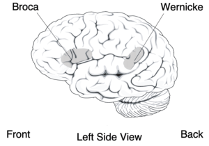 广东靓女主播公然在电视节目爆粗?你确定没听错? 广东靓女主播公然在电视节目爆粗?你确定没听错?