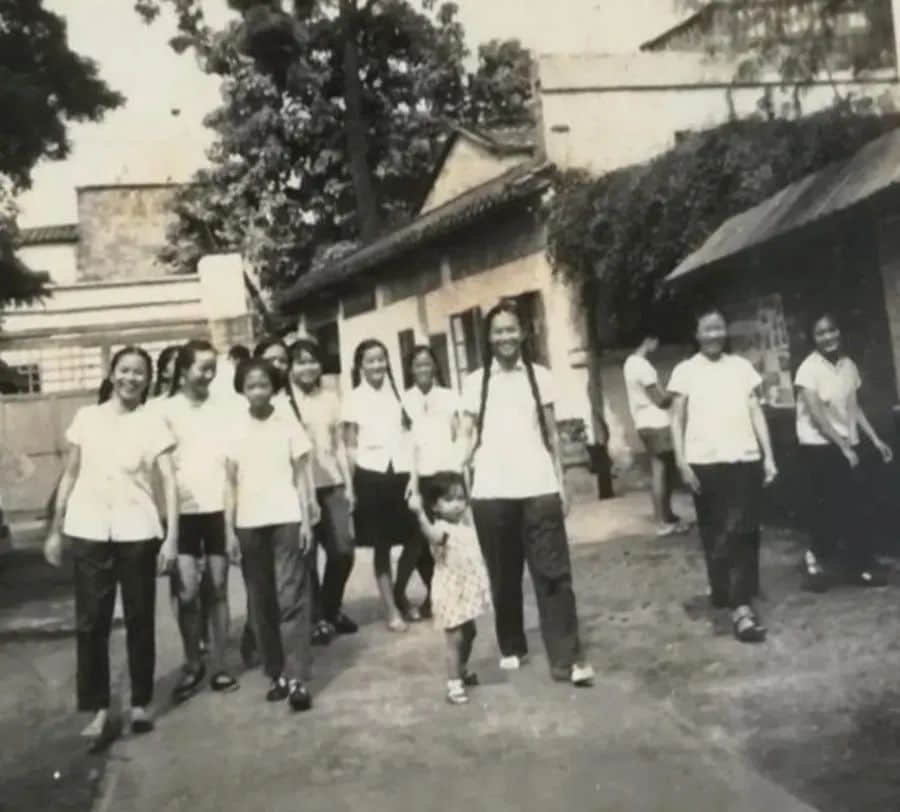 亲手完结了自己的母校!可怜可悲可恨 亲手完结了自己的母校!可怜可悲可恨