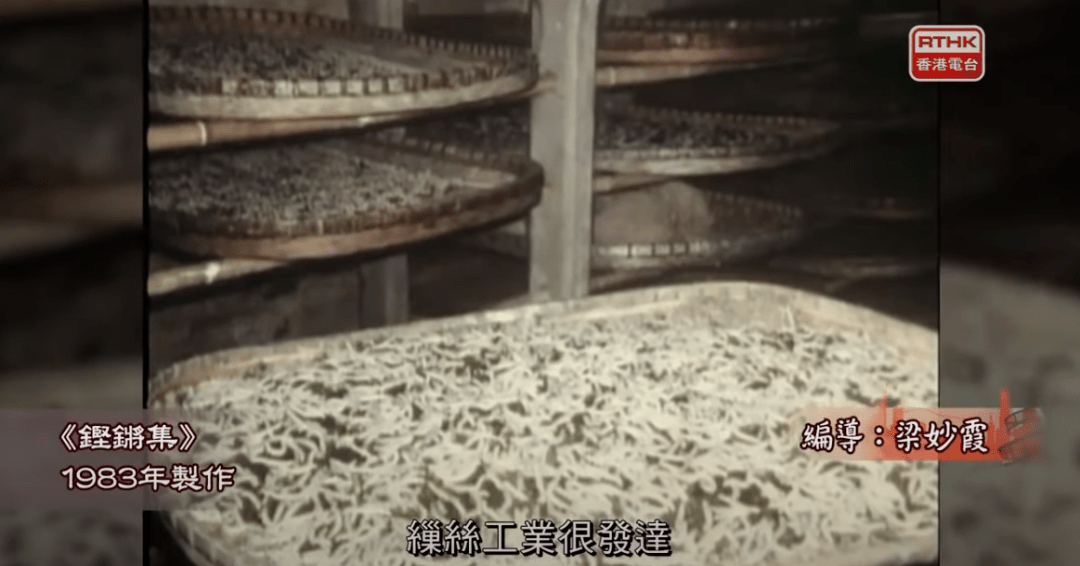 “不结婚的人,老了很凄凉?”百年前的广东女性已给出答案 “不结婚的人,老了很凄凉?”百年前的广东女性已给出答案