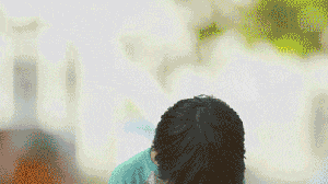 广东人:我不在茶楼,就在柠檬茶店 广东人:我不在茶楼,就在柠檬茶店