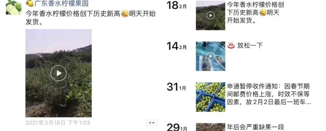 广东人:我不在茶楼,就在柠檬茶店 广东人:我不在茶楼,就在柠檬茶店