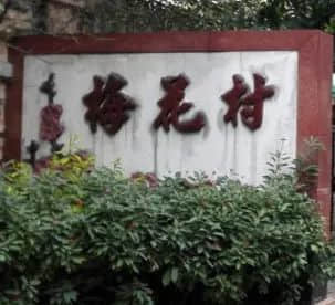 东山从乡郊变都市:史诗级的华丽变身 东山从乡郊变都市:史诗级的华丽变身