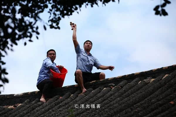 广州疫情下,再也看不到包租公在臭涌玩漂移了 广州疫情下,再也看不到包租公在臭涌玩漂移了