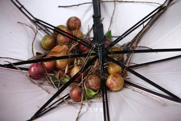 广州疫情下,再也看不到包租公在臭涌玩漂移了 广州疫情下,再也看不到包租公在臭涌玩漂移了