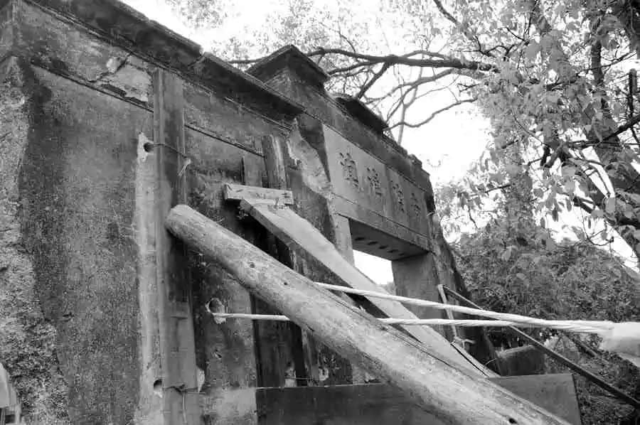 处女作发表40周年纪念:卖假药的老头 处女作发表40周年纪念:卖假药的老头