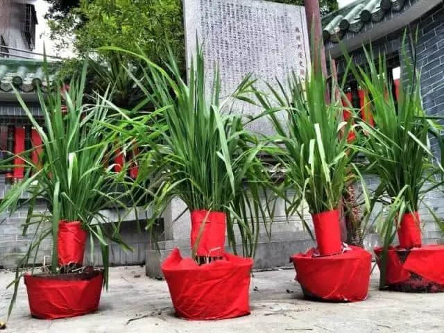 广州疫情下,再也看不到包租公在臭涌玩漂移了 广州疫情下,再也看不到包租公在臭涌玩漂移了