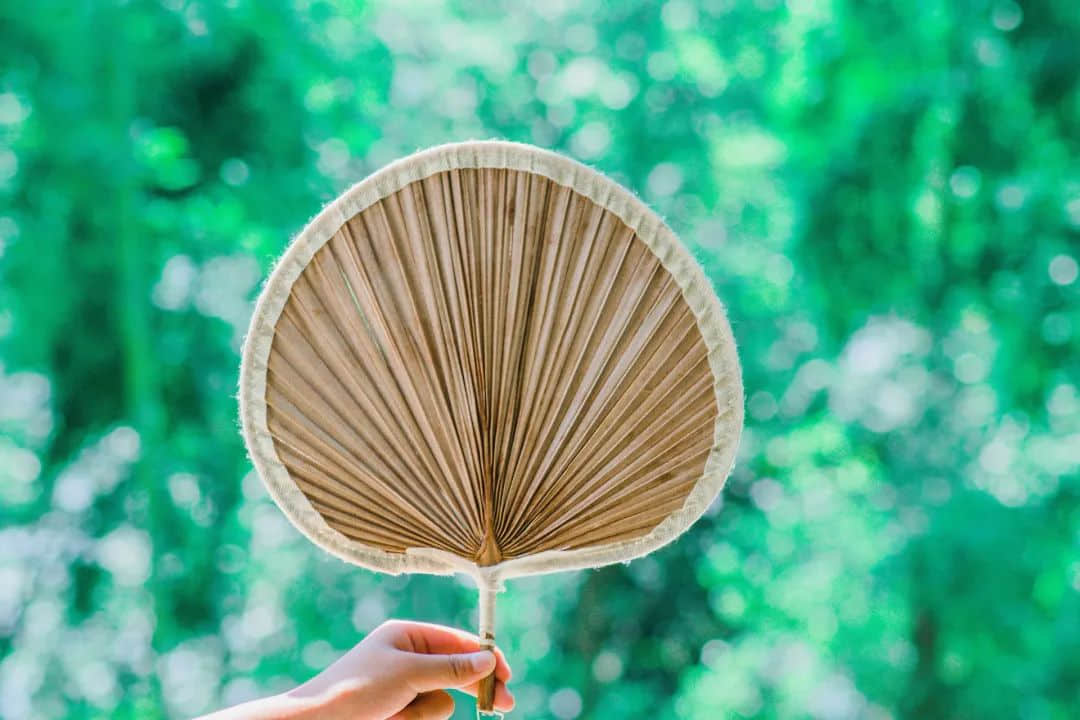 又想日啖荔枝三百颗,又唔想热气?饮碗妈子靓汤就搞掂! 又想日啖荔枝三百颗,又唔想热气?饮碗妈子靓汤就搞掂!