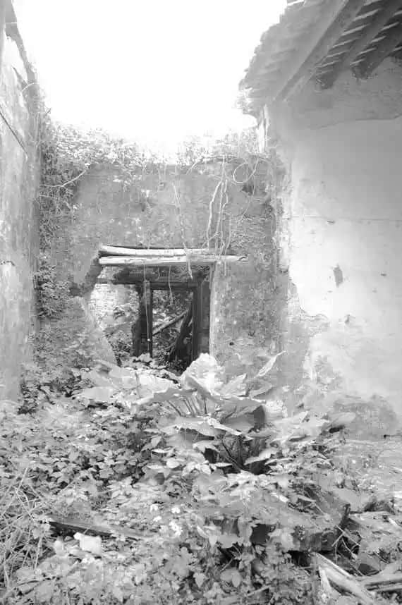 处女作发表40周年纪念:卖假药的老头 处女作发表40周年纪念:卖假药的老头