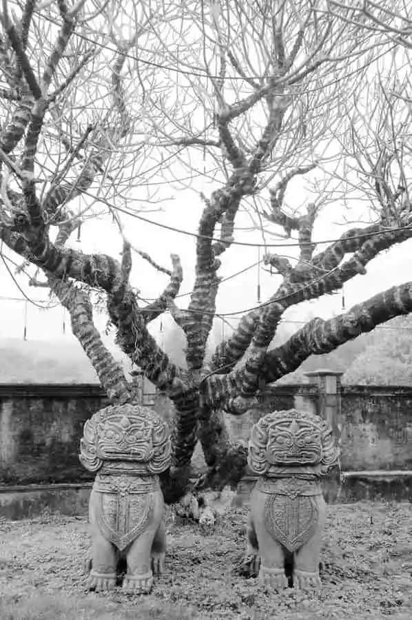 处女作发表40周年纪念:卖假药的老头 处女作发表40周年纪念:卖假药的老头