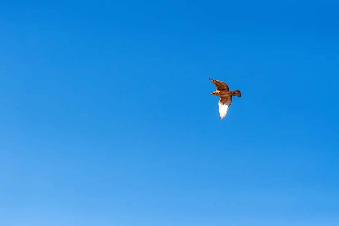 今日小暑,一年最热的时段来了!喝什么汤最解暑? 今日小暑,一年最热的时段来了!喝什么汤最解暑?