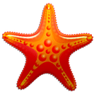 周末带娃不远行,城中度假倍轻松! 周末带娃不远行,城中度假倍轻松!