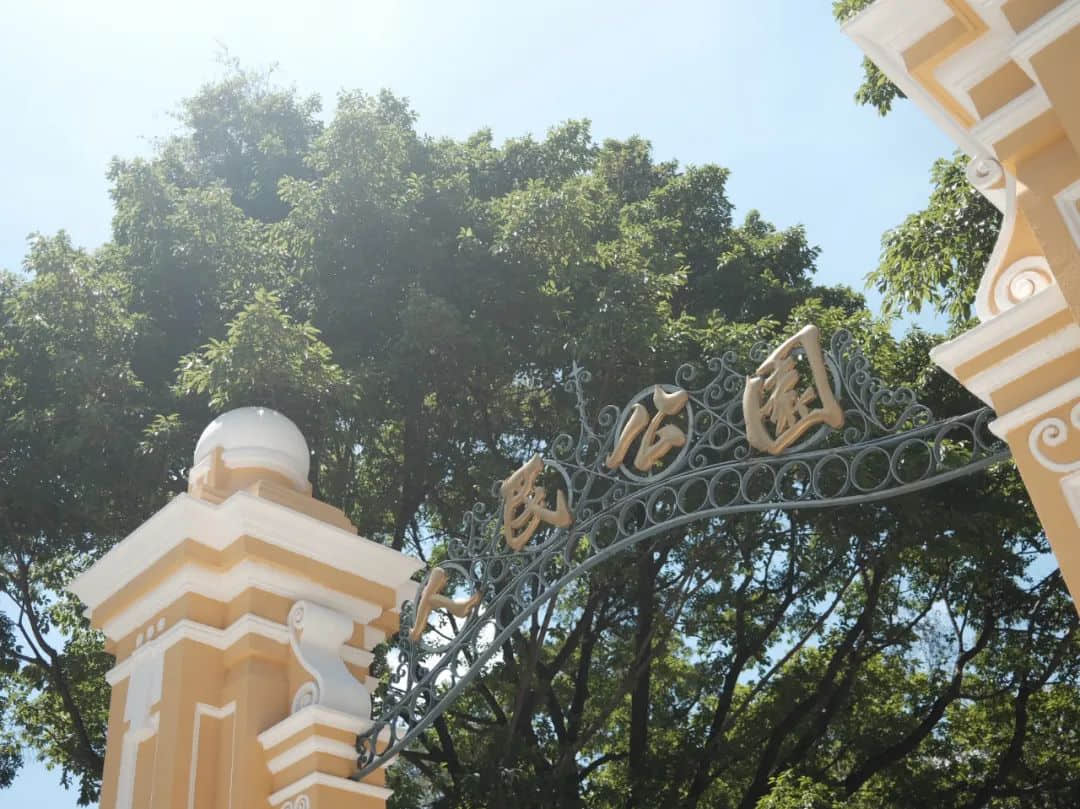 炽热的阳光 炽热的阳光