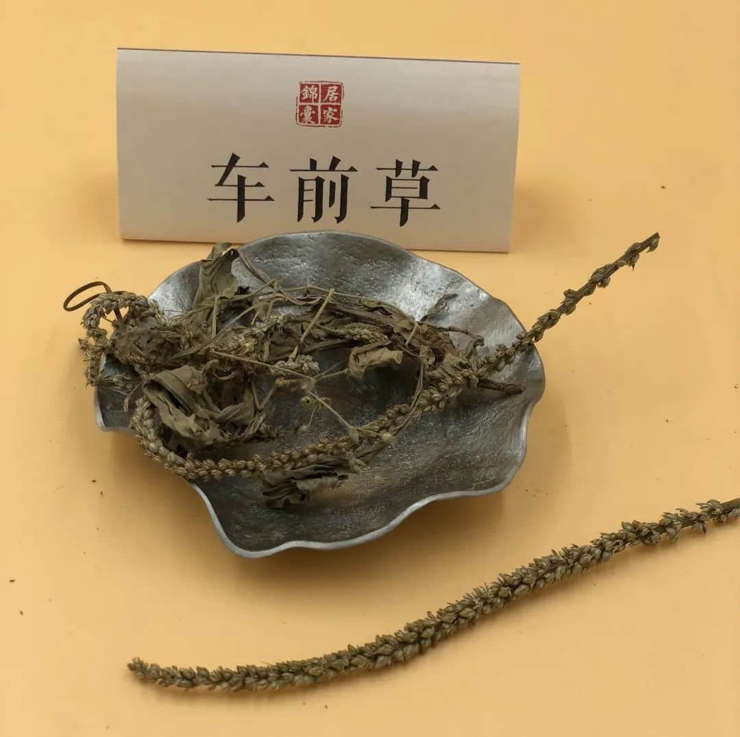 今日小暑,一年最热的时段来了!喝什么汤最解暑? 今日小暑,一年最热的时段来了!喝什么汤最解暑?