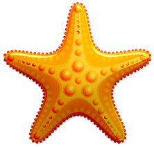 周末带娃不远行,城中度假倍轻松! 周末带娃不远行,城中度假倍轻松!