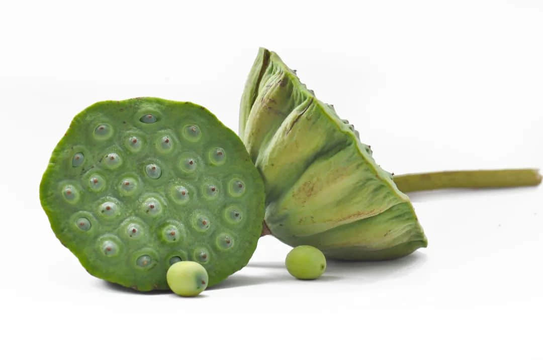 台风高发、高温酷热的大暑,该喝什么消暑汤水? 台风高发、高温酷热的大暑,该喝什么消暑汤水?