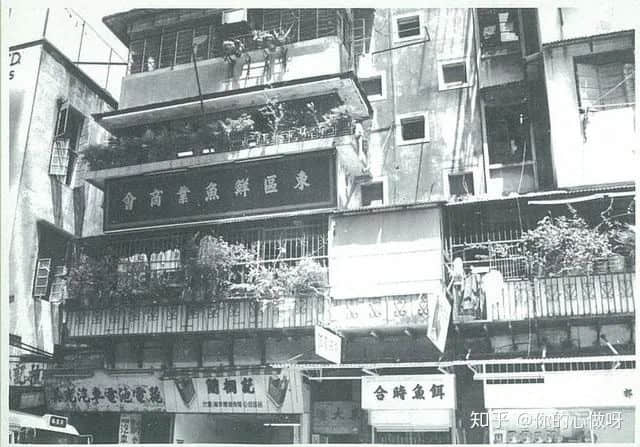 这位帅气的广东仔,是中国首位世界冠军! 这位帅气的广东仔,是中国首位世界冠军!