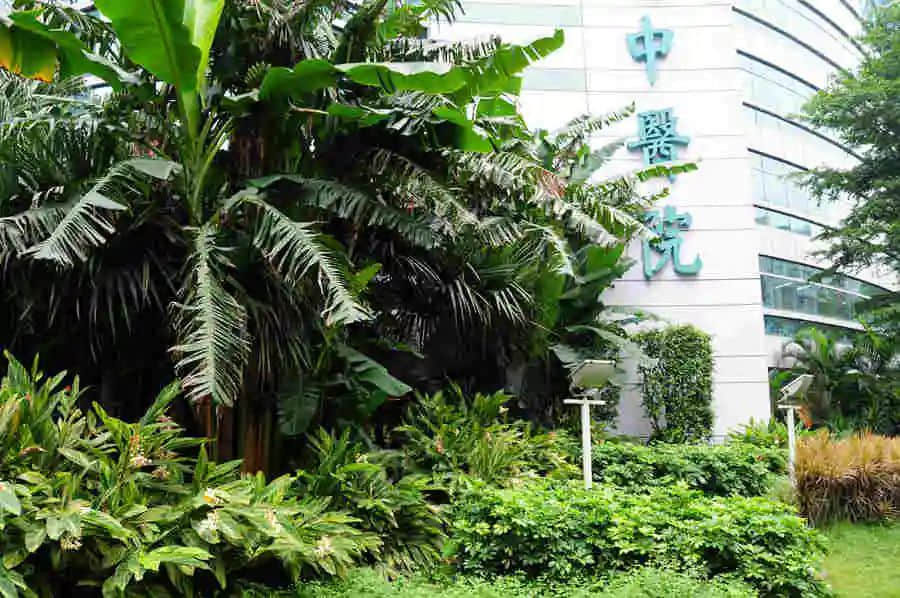 省中医院前身,曾是广东中医的黄埔军校 省中医院前身,曾是广东中医的黄埔军校