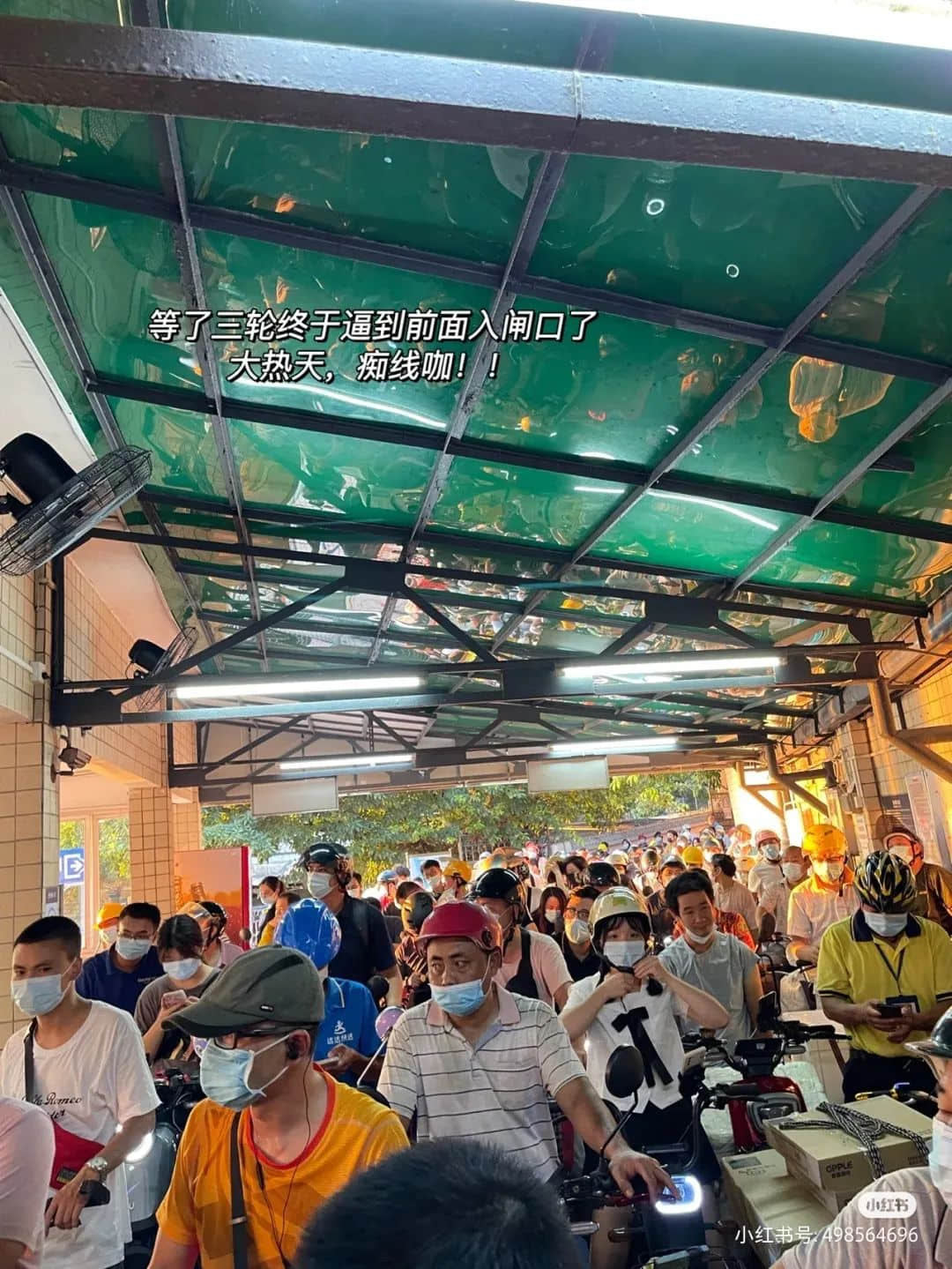 暂别鹤洞桥,你好白蚬壳! 暂别鹤洞桥,你好白蚬壳!