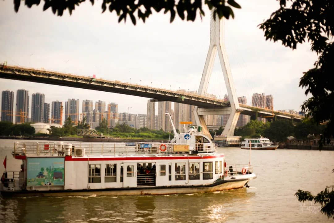 暂别鹤洞桥,你好白蚬壳! 暂别鹤洞桥,你好白蚬壳!