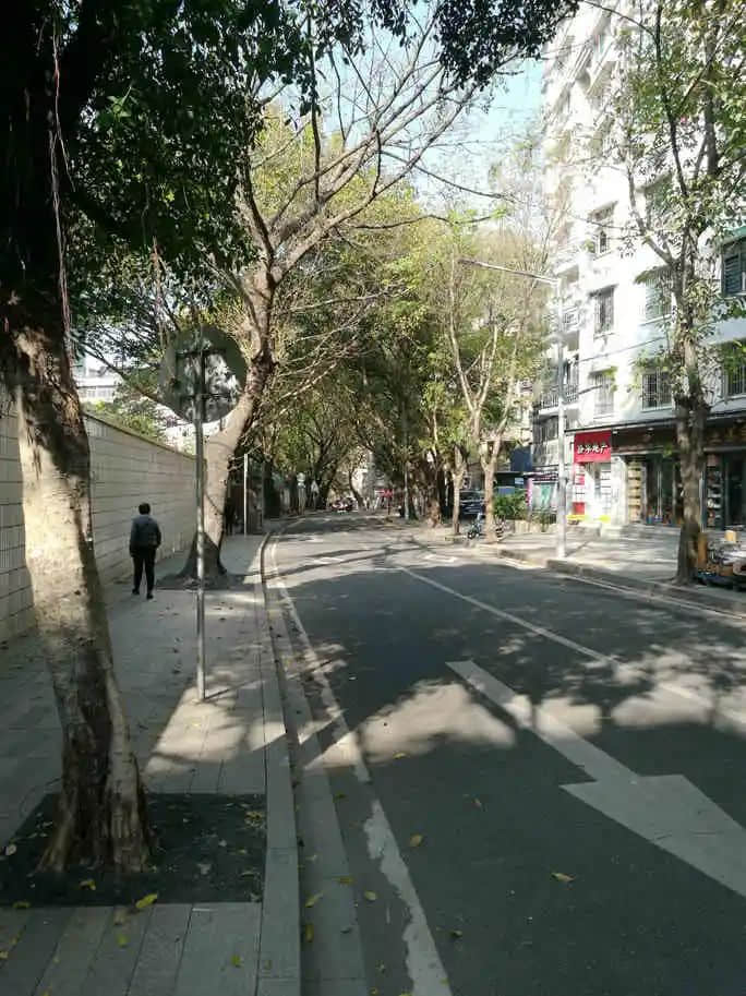 行走梅花村,要上知天文,下知地理 行走梅花村,要上知天文,下知地理