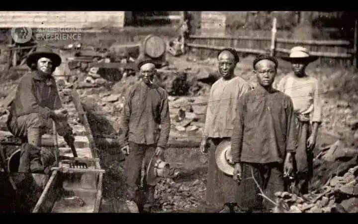 从体力劳动者到荷里活明星,美籍华人的地位有改变吗? 从体力劳动者到荷里活明星,美籍华人的地位有改变吗?