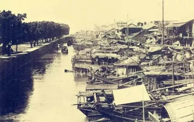 暂别鹤洞桥,你好白蚬壳! 暂别鹤洞桥,你好白蚬壳!