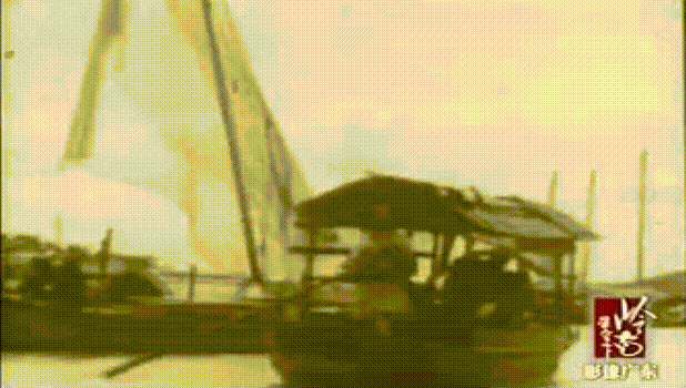 暂别鹤洞桥,你好白蚬壳! 暂别鹤洞桥,你好白蚬壳!