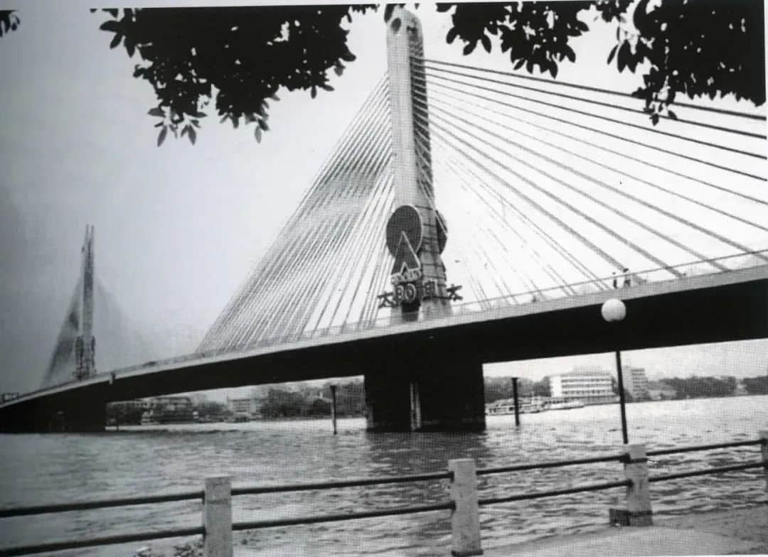 暂别鹤洞桥,你好白蚬壳! 暂别鹤洞桥,你好白蚬壳!