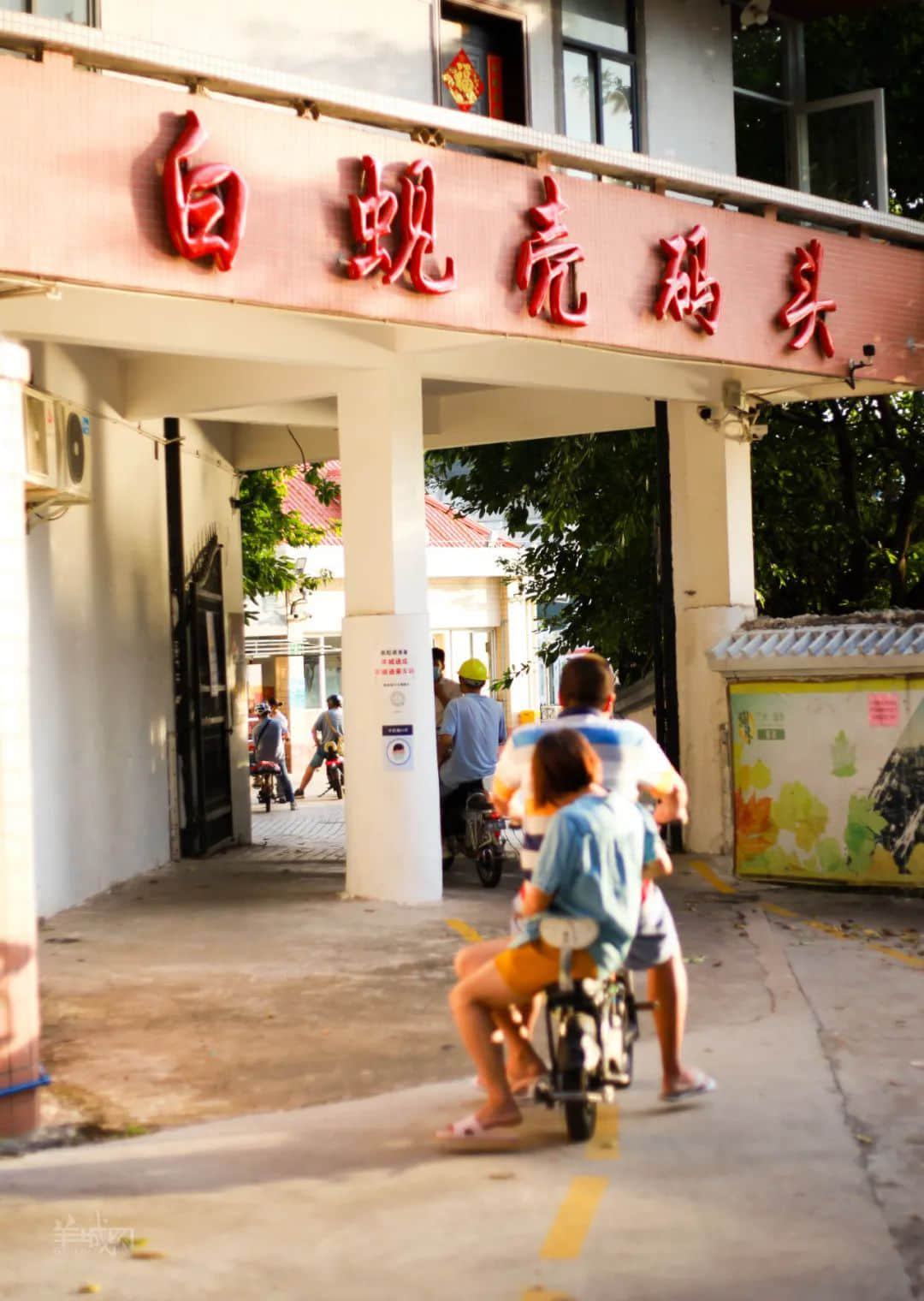 暂别鹤洞桥,你好白蚬壳! 暂别鹤洞桥,你好白蚬壳!