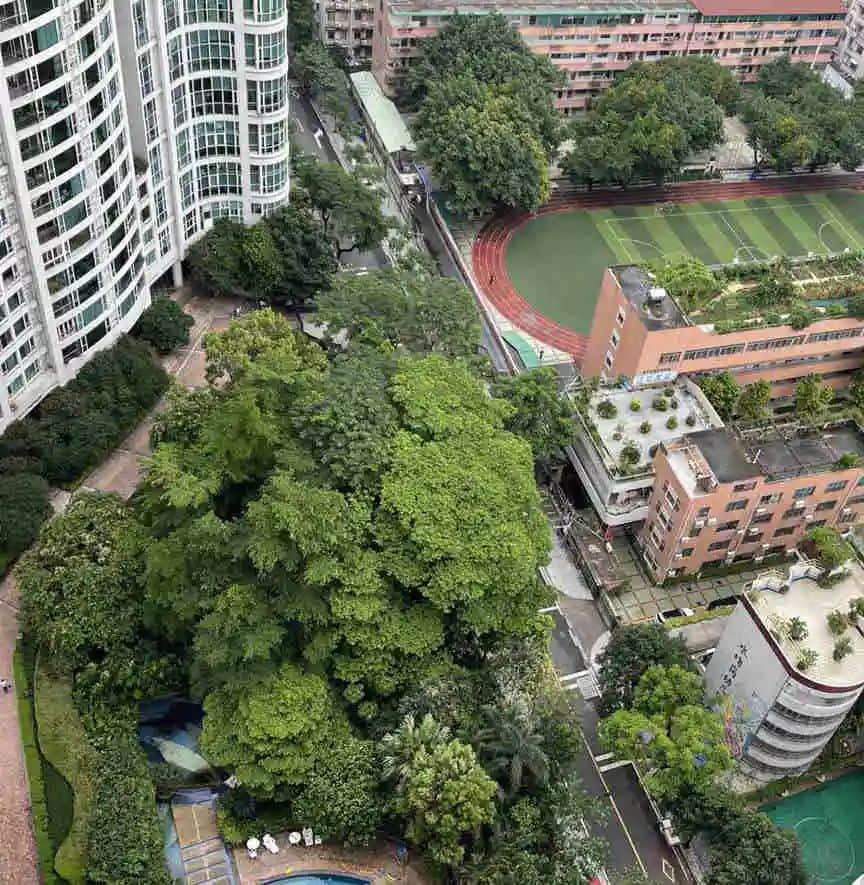 行走梅花村,要上知天文,下知地理 行走梅花村,要上知天文,下知地理