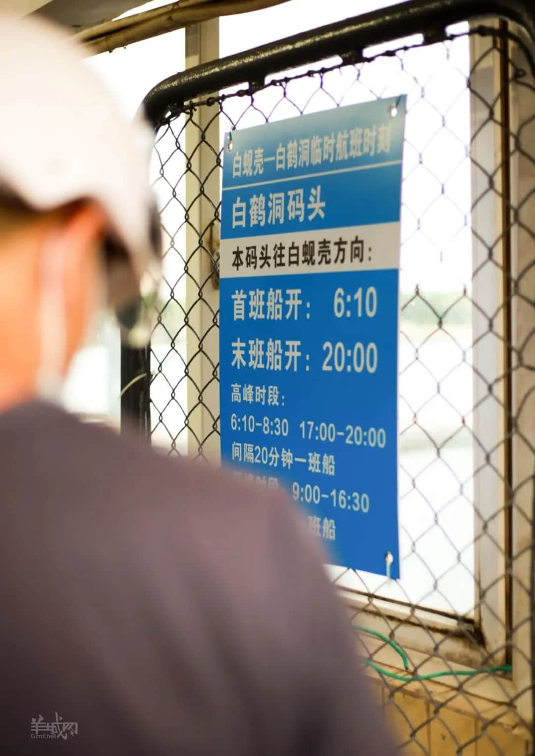 暂别鹤洞桥,你好白蚬壳! 暂别鹤洞桥,你好白蚬壳!