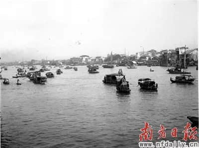 暂别鹤洞桥,你好白蚬壳! 暂别鹤洞桥,你好白蚬壳!