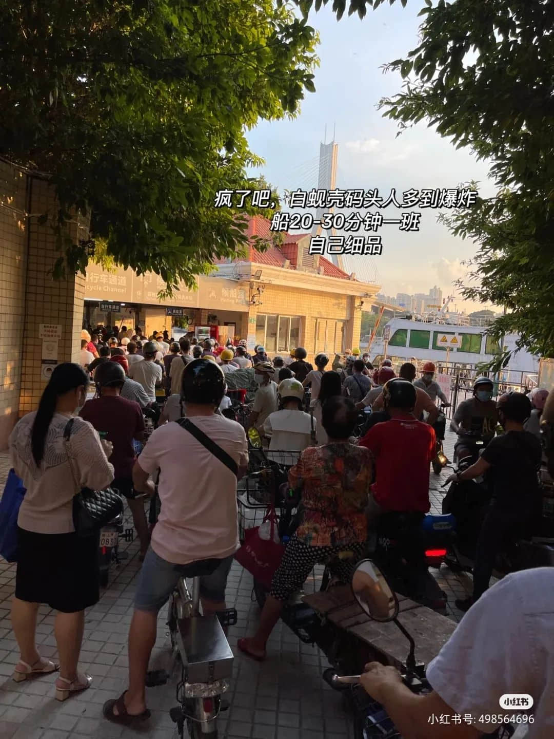 暂别鹤洞桥,你好白蚬壳! 暂别鹤洞桥,你好白蚬壳!