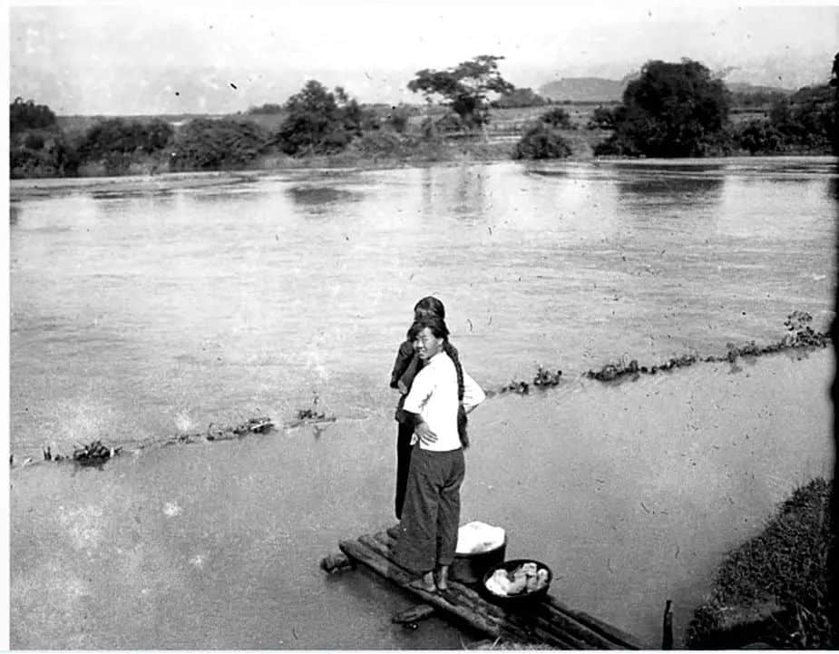 三卿本是佳人 三卿本是佳人