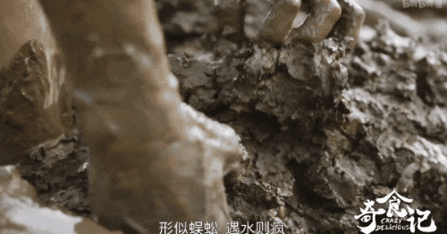 这些米其林看不上的地道广东美食,你试过多少道? 这些米其林看不上的地道广东美食,你试过多少道?