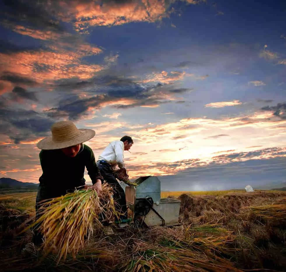 阿丽,这个女人好凄凉 阿丽,这个女人好凄凉